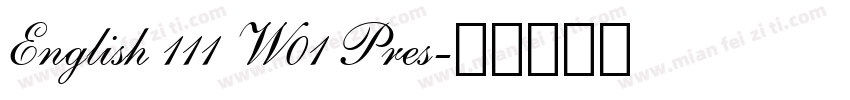 English 111 W01 Pres字体转换
